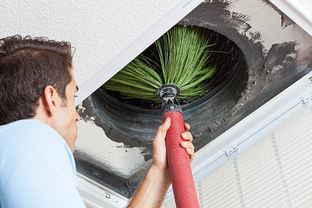 Air Duct Mold Removal in Perryopolis, PA